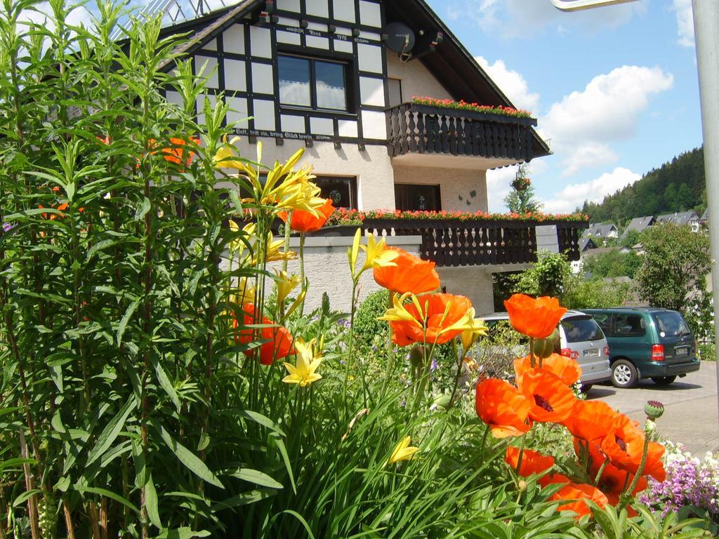 Haus Cristallo Olsberg Exterior foto